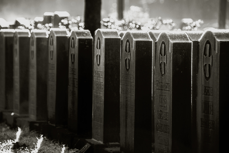 11-11 Wapenstilstand