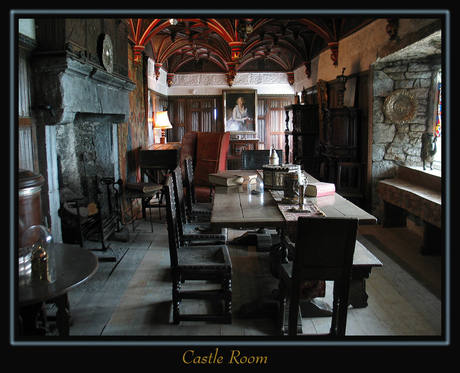 Castle Room