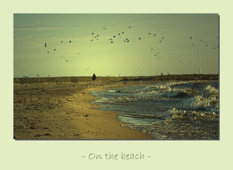 On the beach