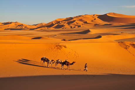 Saharalandschap