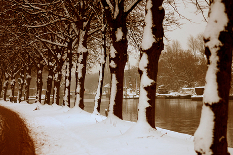 vaartsche rijn utrecht