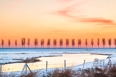 winter in de polder