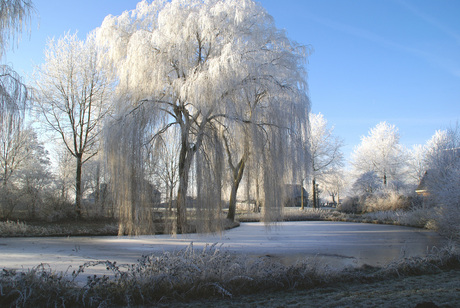 winter in Mijdrecht