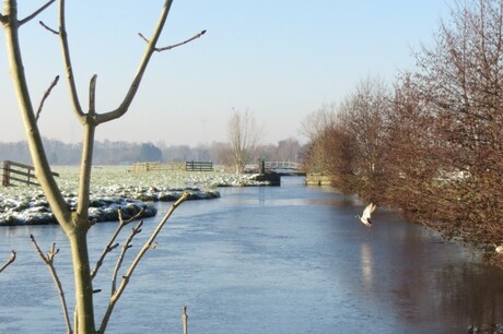 Wintervlucht...