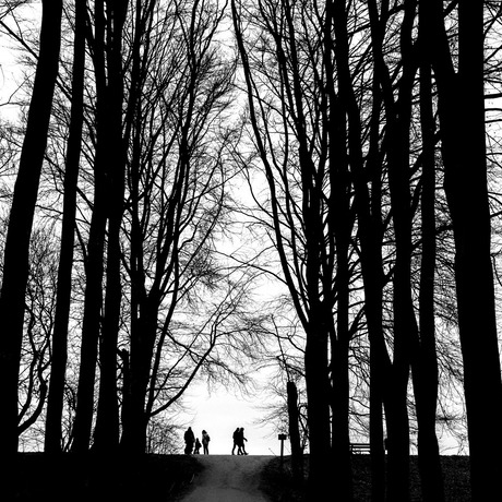 Wandelaars tussen de bomen