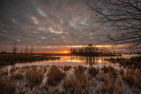 Zonsopkomst in de Dintelse Gorzen