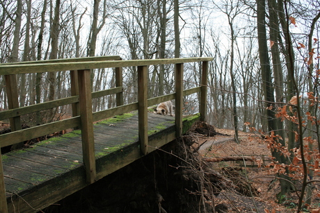 Storm op Warnsborn