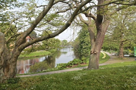 Hortus Botanicus te Leiden