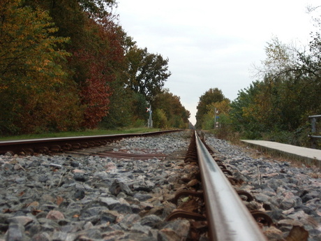 Het spoor bijster