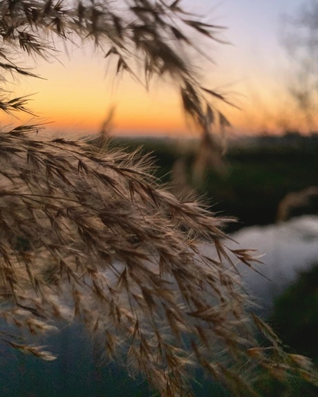 Close up from mother nature