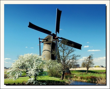 Kinderdijk