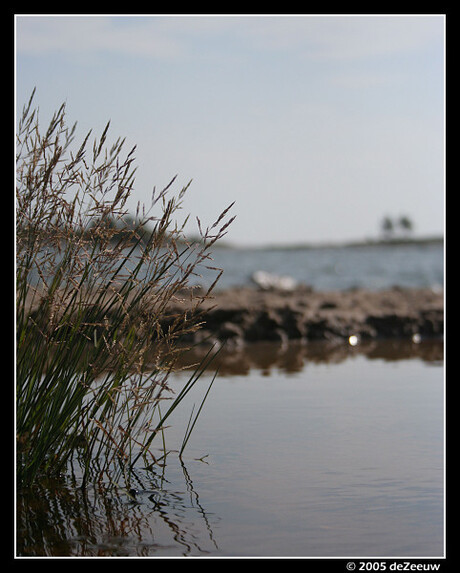 A lake on the beach