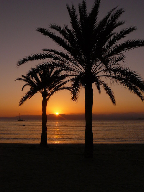 Zonsondergang in Mallorca 2