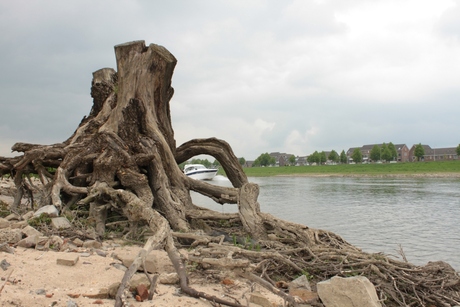 8 mei IJssel Deventer (fotografie workshop)