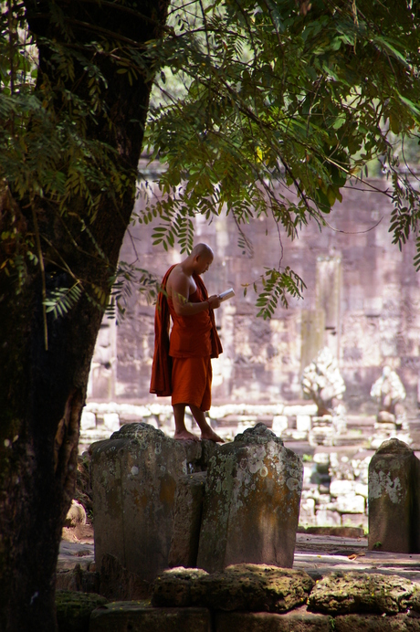 Monnik bij Ankor Wat