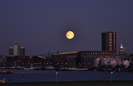 The whole of the moon