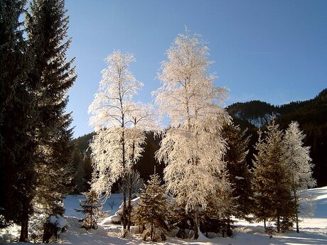 Weissemsee Winterwonderland