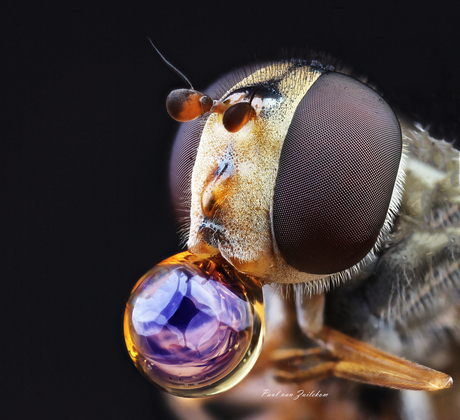 Blowing bubbles