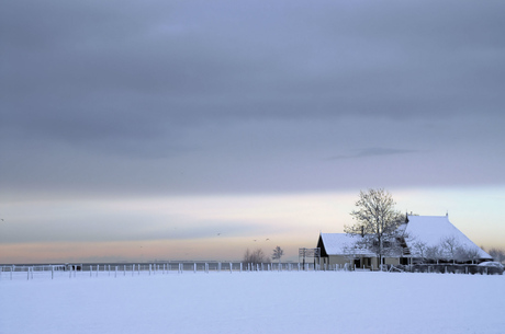 Mirnser landschap