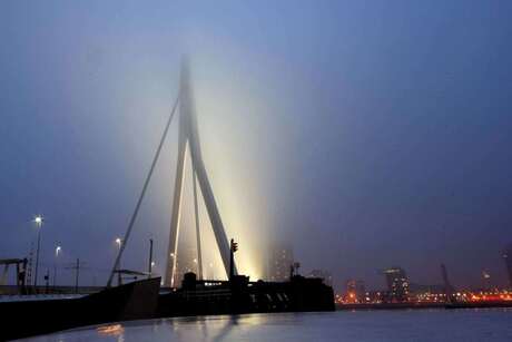 Fotosafari Rotterdam 2