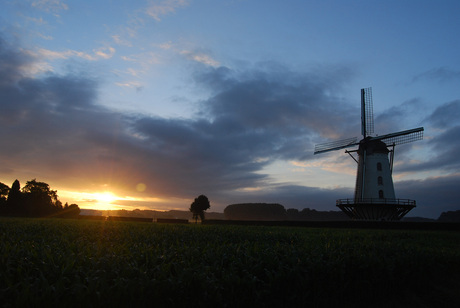 de molen