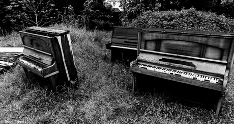 The Old Piano