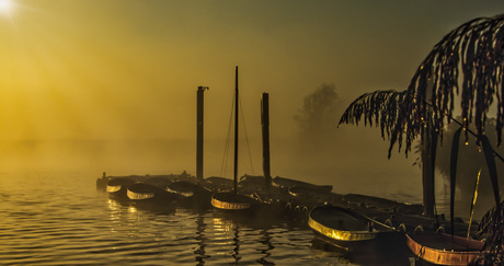 Ochtendgloren-mist-uiterwaarden