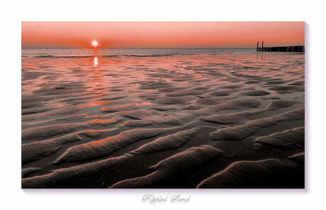 Rippled Sand