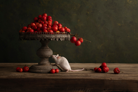 muis met appels