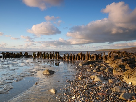 Aan de waddenkust