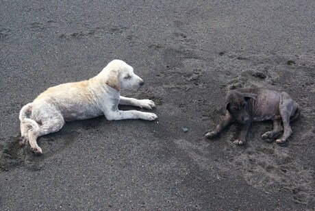 on the beach