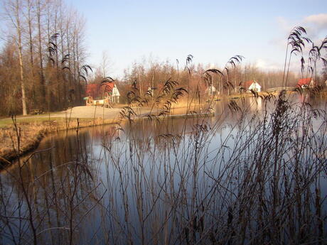 Winterdag in Lauwersoog