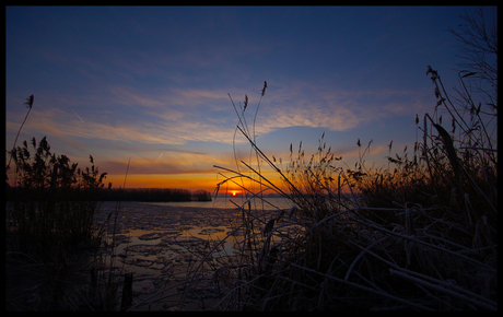 Zonsopgang Biesbos