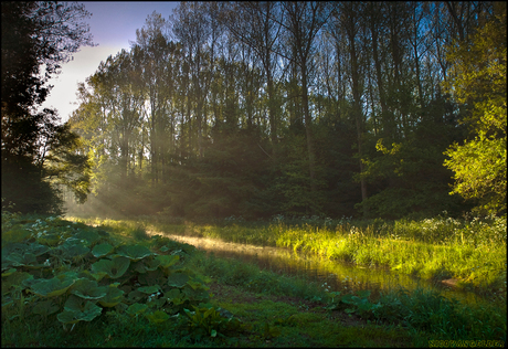 Sallands landschap