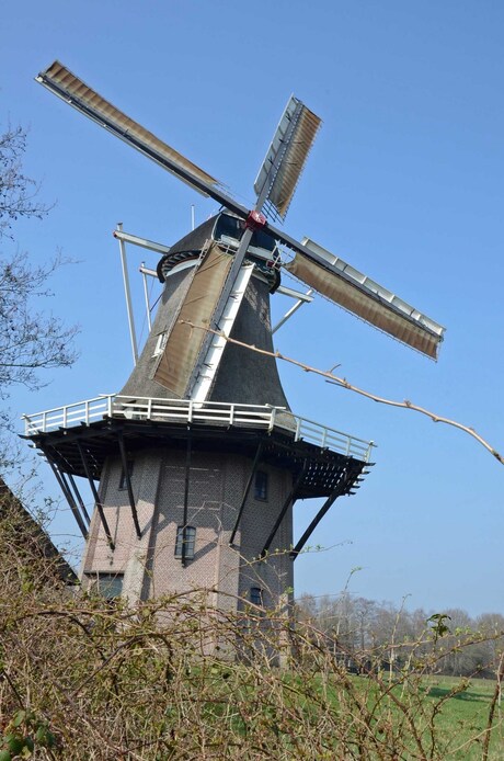 Molen de Star