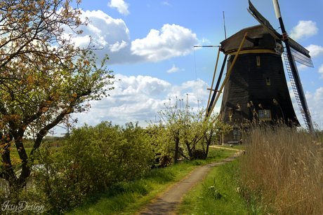 molen - Kinderdijk