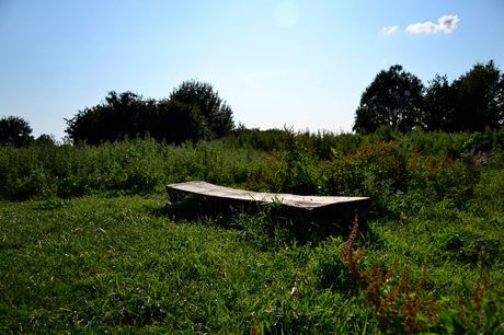 bankje in de natuur