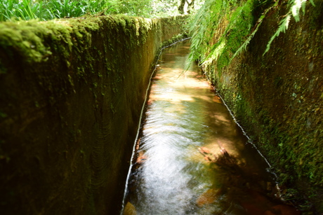 Levada