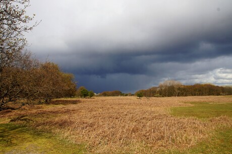 Hollands weer op komst