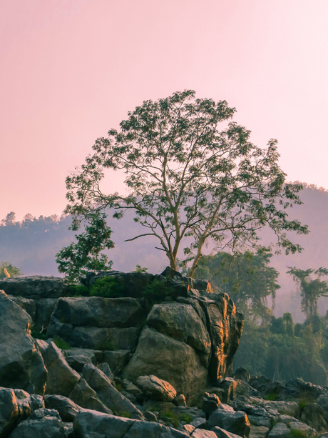 Langs de oevers van de Mekong, Laos