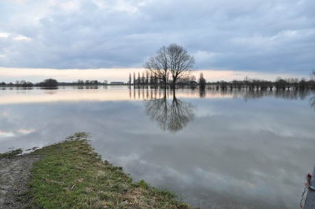 Hoog water langs de IJssel, februari 2013