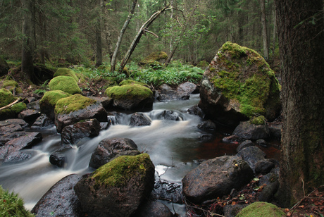 Stromend waterbeekje in Zweden