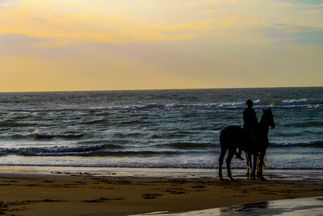 Enjoying the sunset