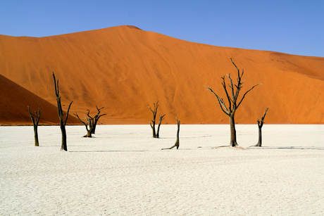 Deadvlei