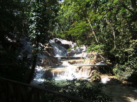 Dunn's river falls