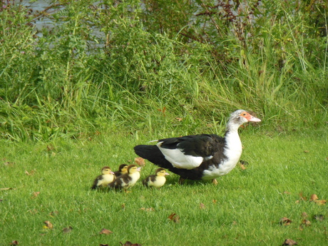 Lente in september.