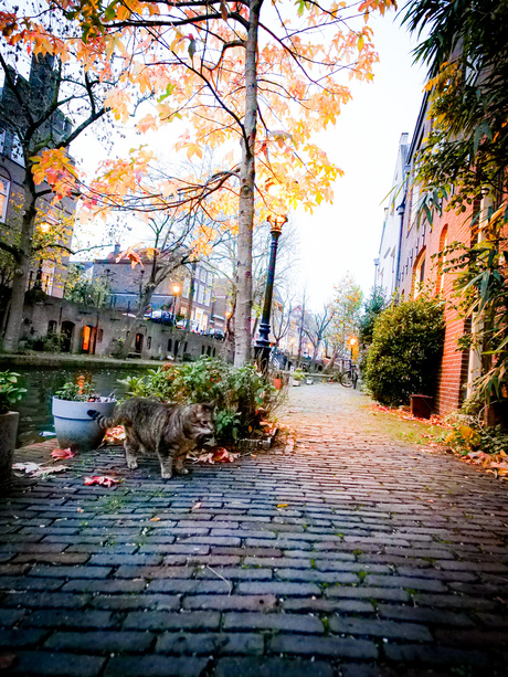 Utrecht op een mooie herfstmiddag