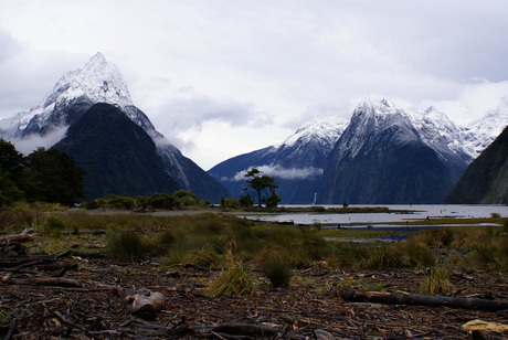 Milford sound