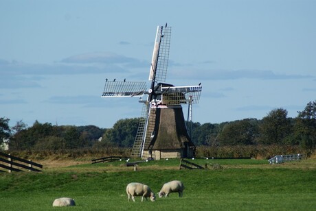 Fries landschap