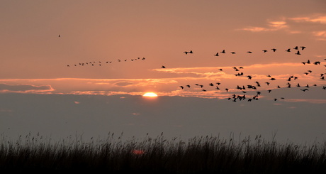 Sunset Goingarijp Friesland vanaf het water